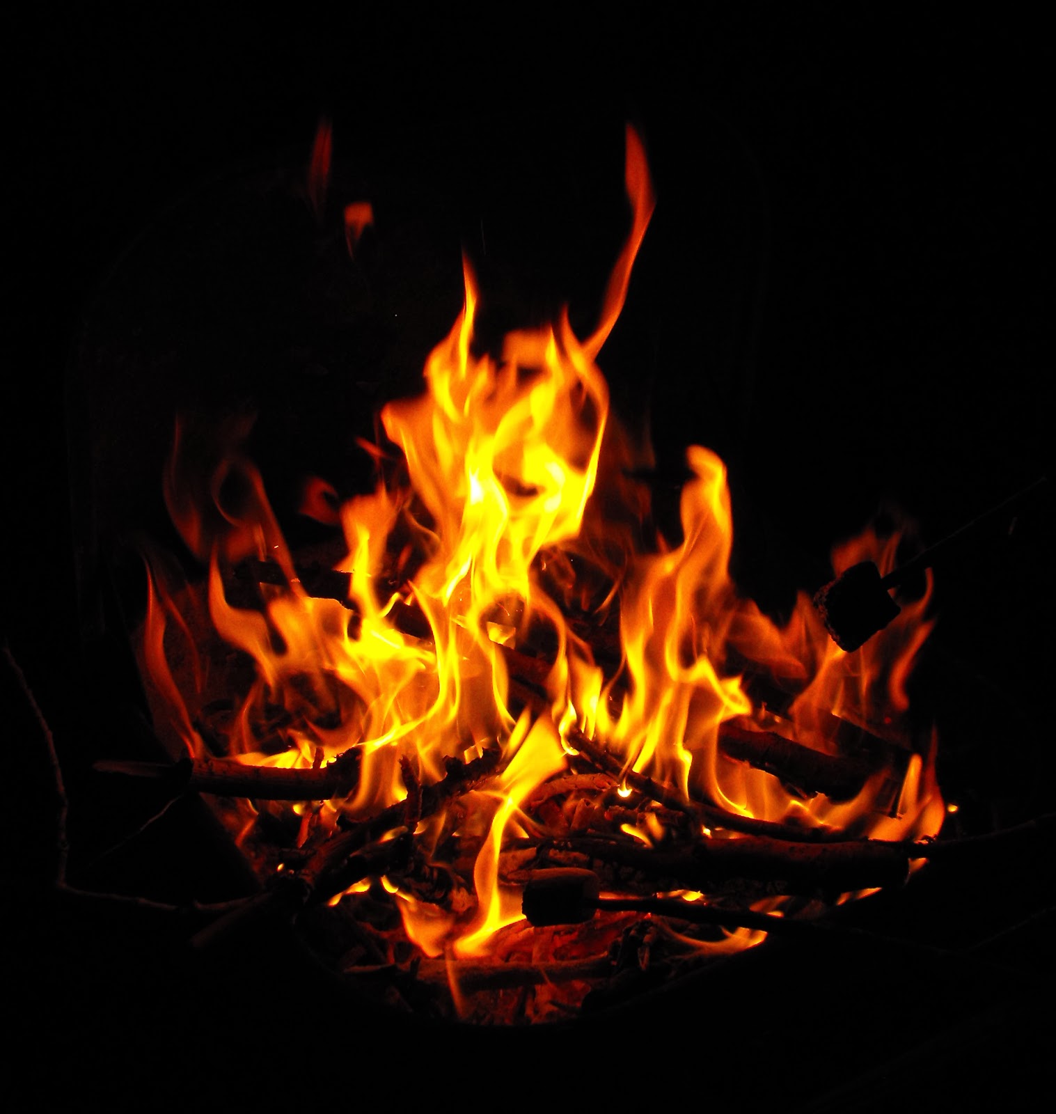 ������ ����� ���������� sidestreet-stock (11